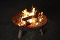 fire bowl with burning wood logs Royalty Free Stock Photo