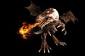 Fire breathing dragon Royalty Free Stock Photo