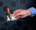 Fire burn one hundred dollars Royalty Free Stock Photo