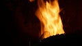 Fire burn pellets with spruce sawdust into the delivery strew bio wooden pallets to industrial modern boiler, sparks fly