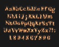 Fire burning alphabet and numbers font