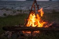 Fire burning on the beach at night. bright fire, firewood. flame Royalty Free Stock Photo