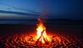 Fire is burning on a beach at night Royalty Free Stock Photo