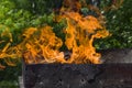 Fire burning bright flame on the background of grass and stones closeup Royalty Free Stock Photo