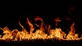 Fire burning. Bright burning flames on a black background. Fire in slow motion. Wall of Real fire, abstract background