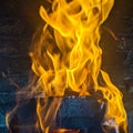 Fire, burning coals, wood and ashes in the hot oven Royalty Free Stock Photo