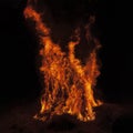 Fire. Burning dry grass. Big flame Royalty Free Stock Photo