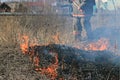 Fire burning dry grass dangerously Royalty Free Stock Photo