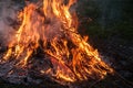 Fire from burning dry twigs Royalty Free Stock Photo