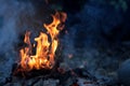 Fire. Burning fire. Wood campfire. Fire flames Royalty Free Stock Photo