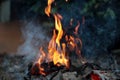 Fire. Burning fire. Wood campfire. Fire flames Royalty Free Stock Photo