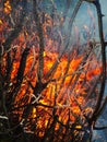 Fire burning flame branches the smoke water Royalty Free Stock Photo