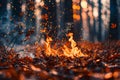Fire burning in forest Royalty Free Stock Photo