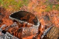 Fire is burning in a large bonfire where there is a large flame of wood fire and log embers Royalty Free Stock Photo