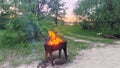 The fire is burning in a metal barbecue, standing on a sandy grassy lawn surrounded by bushes and trees near the river bank. On a Royalty Free Stock Photo