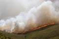 Large brush or veld fire.  Wild fire in mountains Royalty Free Stock Photo