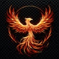 Fire burning Phoenix bird symbol on dark background Royalty Free Stock Photo