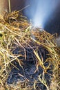 Fire burning rice straw Royalty Free Stock Photo