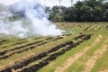 Fire burning rice straw