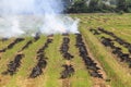 Fire burning rice straw Royalty Free Stock Photo