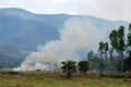 Fire Burning straw after harvest in rice field. Royalty Free Stock Photo