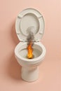 Fire Burning in Toilet Bowl Royalty Free Stock Photo