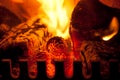 Fire burning wood and cones in a log burner