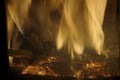 Fire. Burning wood in the fireplace. Bright fire. Royalty Free Stock Photo