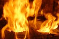 Fire. Burning wood in the fireplace. Side view. Royalty Free Stock Photo