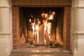 A fire burns in a fireplace, Fire to keep warm. Close up shot of burning firewood in the fireplace Royalty Free Stock Photo