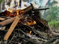 Flames burning trash and wood Royalty Free Stock Photo