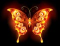 Fire butterfly peacock Fiery butterfly Royalty Free Stock Photo