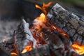 Fire with charcoals. Burning wood. Macro. Live flames with smoke. Wood with flame for barbecue and cooking bbq. Bright color. Royalty Free Stock Photo