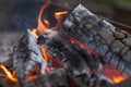 Fire with charcoals. Burning wood. Macro. Live flames with smoke. Wood with flame for barbecue and cooking bbq. Bright color.