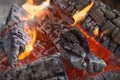 Fire with charcoals. Burning wood. Macro. Live flames with smoke. Wood with flame for barbecue and cooking bbq. Bright color. Royalty Free Stock Photo