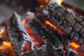 Fire with charcoals. Burning wood. Macro. Live flames with smoke. Wood with flame for barbecue and cooking bbq. Bright color. Royalty Free Stock Photo