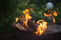 Fire with charcoals. Burning wood. Macro. Live flames with smoke. Wood with flame for barbecue and cooking bbq. Royalty Free Stock Photo