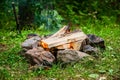 Fire in the circle of stones in the forest Royalty Free Stock Photo