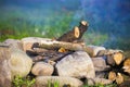 The fire in the clearing for camping. Royalty Free Stock Photo