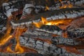 Fire close up Royalty Free Stock Photo