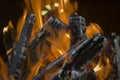 Fire close up Royalty Free Stock Photo