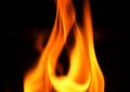 Fire close-up on black background. Royalty Free Stock Photo