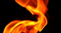 Fire close-up on black background. Royalty Free Stock Photo