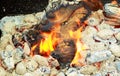 Fire. Closeup of pile wood burning with flames Royalty Free Stock Photo