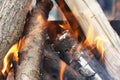 Fire. Closeup of pile of wood burning with flames in the fireplace Royalty Free Stock Photo