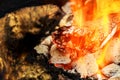 Fire. Closeup of pile wood burning with flames Royalty Free Stock Photo