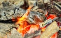 Fire. Closeup of pile wood burning with flames Royalty Free Stock Photo