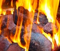 Fire and coals Royalty Free Stock Photo