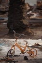 Fire damaged bicycle