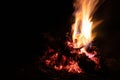 Fire on dark background.Fire Burning wood at night. Campfire of touristic camp in the mountains Royalty Free Stock Photo